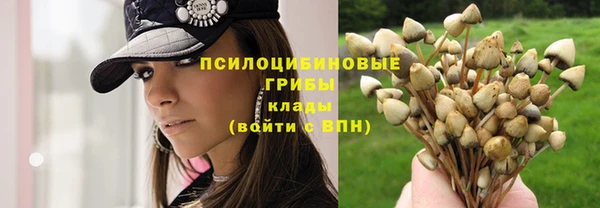 дживик Верея