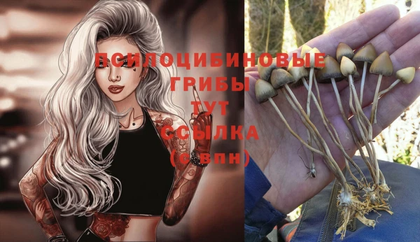COCAINE Бородино