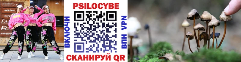 Псилоцибиновые грибы ЛСД Отрадная